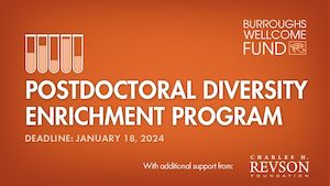 Flyer with burnt orange background and white lettering that states "Postdoctoral Diversity Enrichment Program Deadline January 18, 2024" and "Burroughs Wellcome Fund" underneath cartoon of five test tubes with varying degrees of liquid.