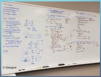 Example faculty job chalk talk illustration of whiteboard with outline text and simple biology diagrams