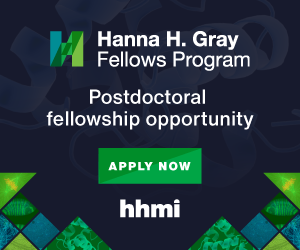 Box with dark blue background behind following white text: "HHMI Hanna H. Gray Fellows Program, postdoctoral fellowship opportunity, Apply Now". The flyer also has stylized letter "H" filled with green and blue geometric shapes. Bottom of box has similar green and blue geometric triangle and square shapes filled with scientific images such as proteins and cells.